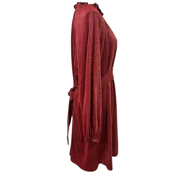 Eloquii Elements Long Sleeve Shimmer Tie Waist Dress - Picture 8 of 8